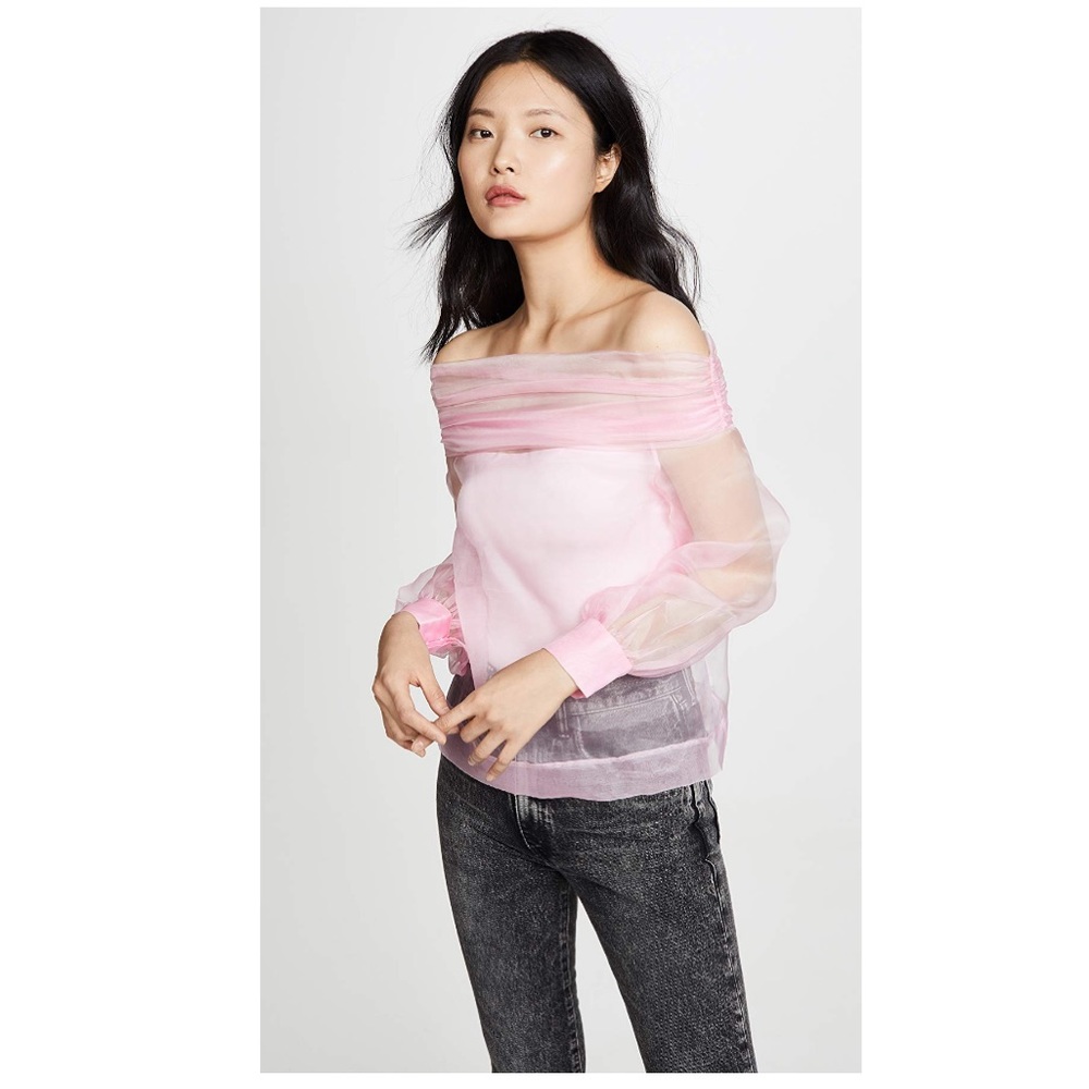 NWT Anais Jourden Pink Silk Organza (Shopbop)